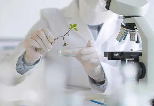 植物学者オウカさん